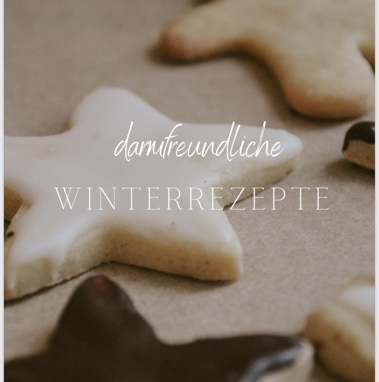 Darmfreundliche Weihnachtsrezepte eBook