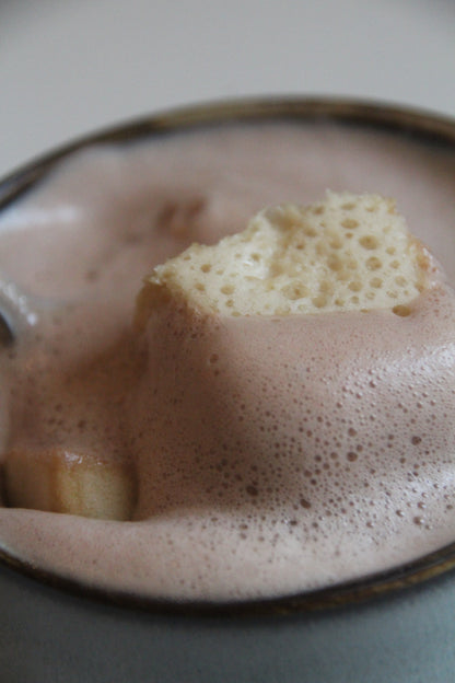 Darmfreundliche Weihnachtsrezepte eBook