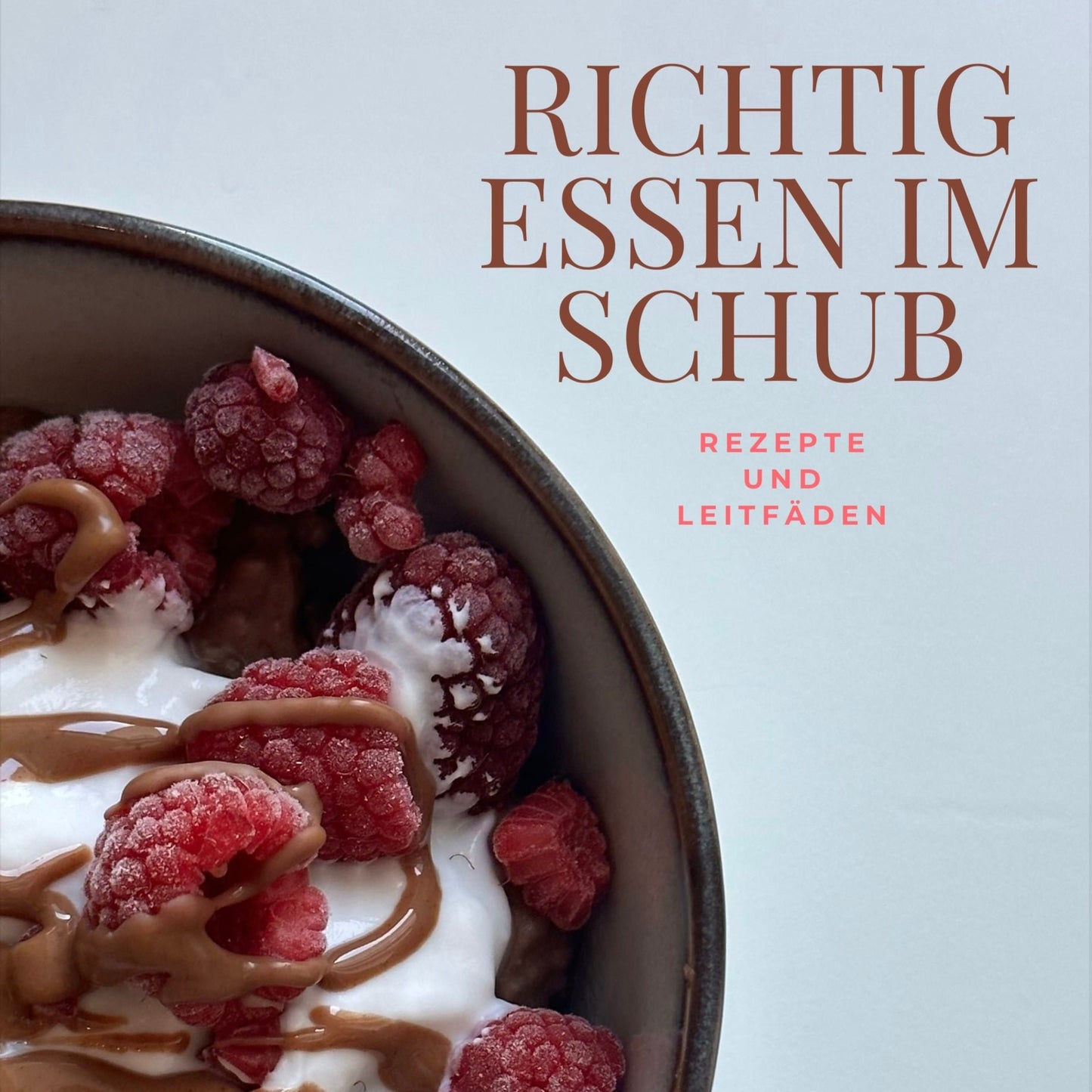 Richtig Essen im Schub E-Book - bald Neuauflage !