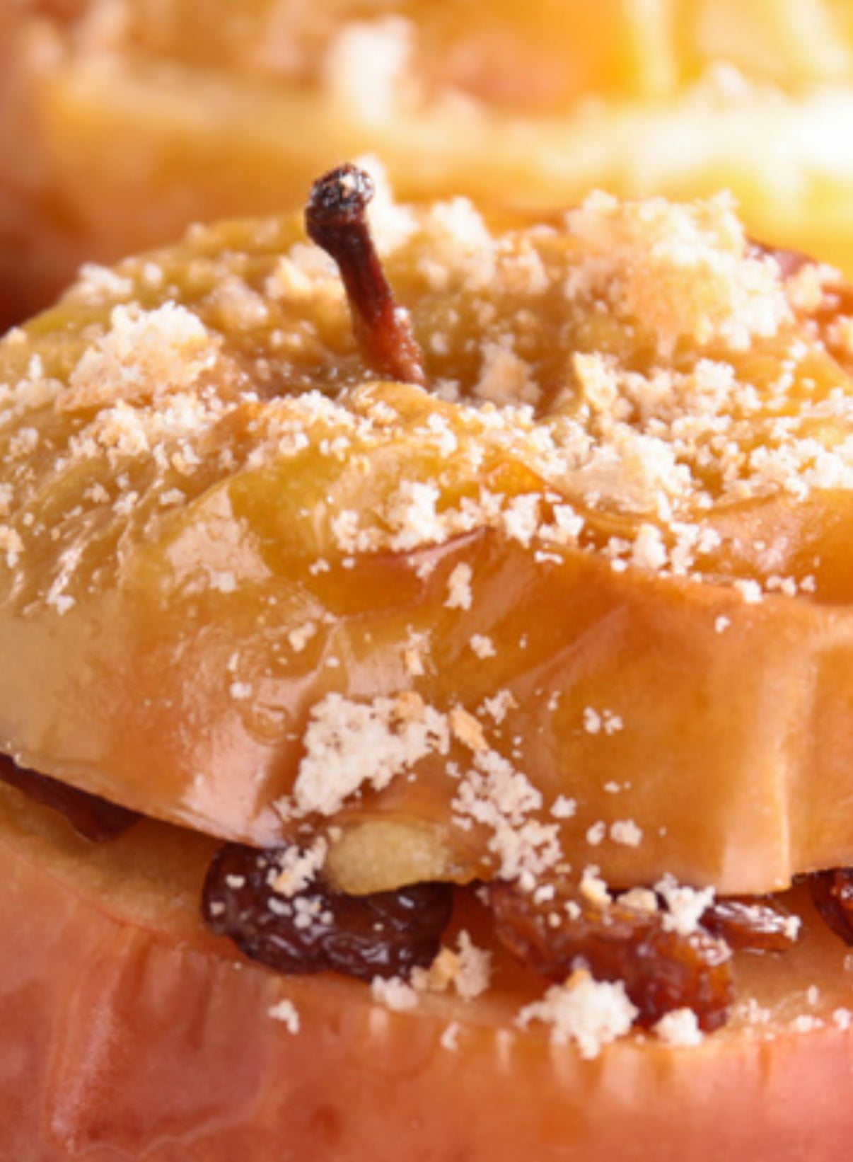 Santas- Secret- Recipes eBook